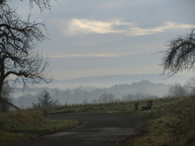 Nebel
